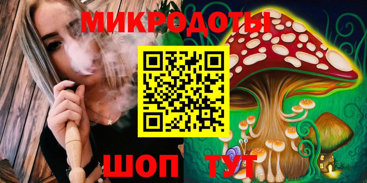 Кимры  Галлюциногенные грибы Psilocybe  Вход с VPN 