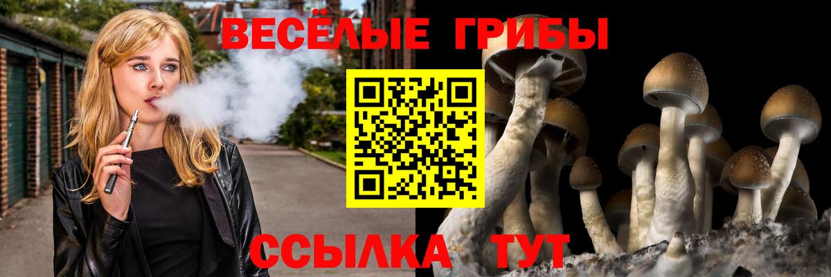 Псилоцибиновые грибы Magic Shrooms Кимры